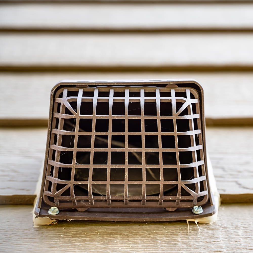 pest control services Eastleigh