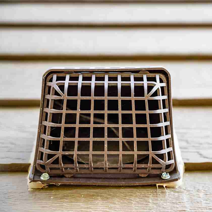 Rat Removal services prices Waterlooville