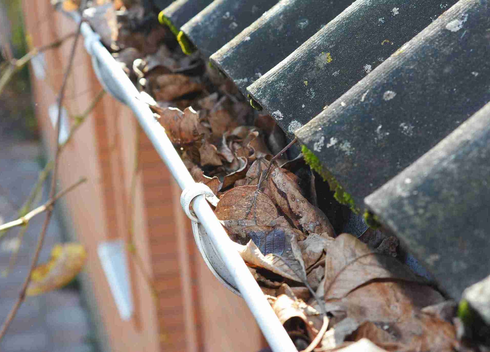 gutter vaccuming services fareham
